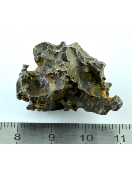 Golden Pallasite 16.67 g – Small Sculptural Meteorite with Olivine Cav