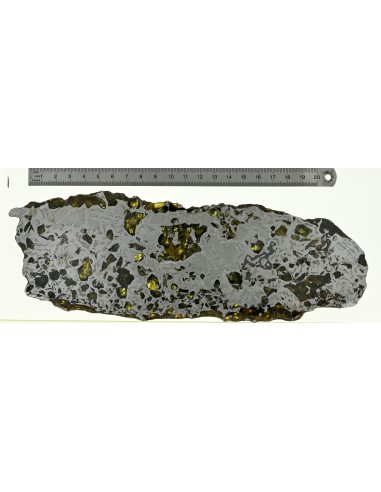 Seymchan Pallasite 395 g Slice – Widmanstätten Pattern & Golden Olivin