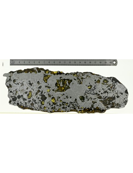 Seymchan Pallasite 395 g Slice – Widmanstätten Pattern & Golden Olivin