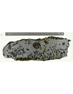 Seymchan Pallasite 395 g Slice – Widmanstätten Pattern & Golden Olivin 2