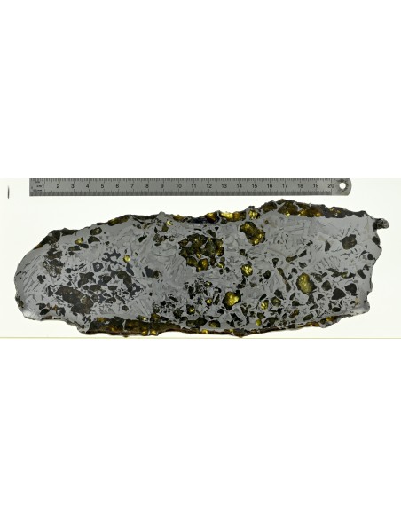 Seymchan Pallasite 395 g Slice – Widmanstätten Pattern & Golden Olivin
