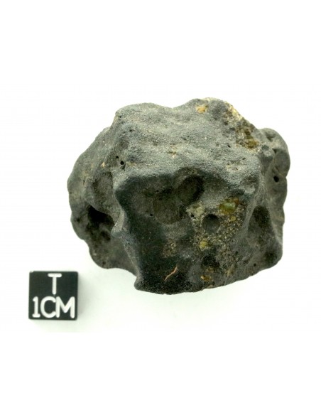 Oued Namous 001 Angrite 97.80 g – Volcanic Meteorite with Vesicles