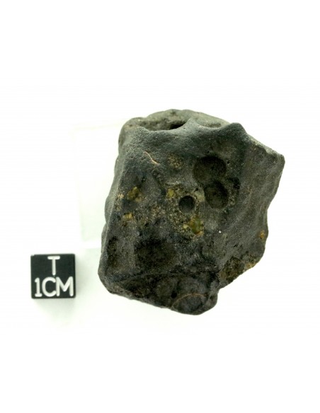 Oued Namous 001 Angrite 97.80 g – Volcanic Meteorite with Vesicles