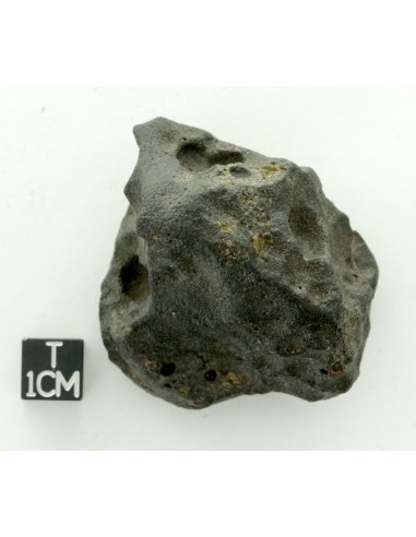 Oued Namous 001 Angrite 97.80 g – Volcanic Meteorite with Vesicles