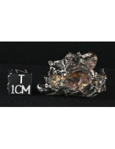 Golden Pallasite 16.67 g – Sculptural Meteorite with Olivine Cavities