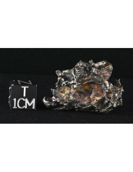 Golden Pallasite 16.67 g – Sculptural Meteorite with Olivine Cavities