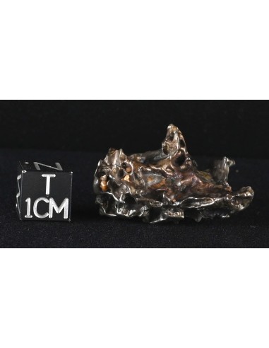 Golden Pallasite 16.67 g – Sculptural Meteorite with Olivine Cavities