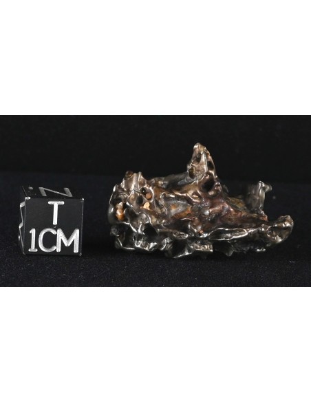 Golden Pallasite 16.67 g – Sculptural Meteorite with Olivine Cavities