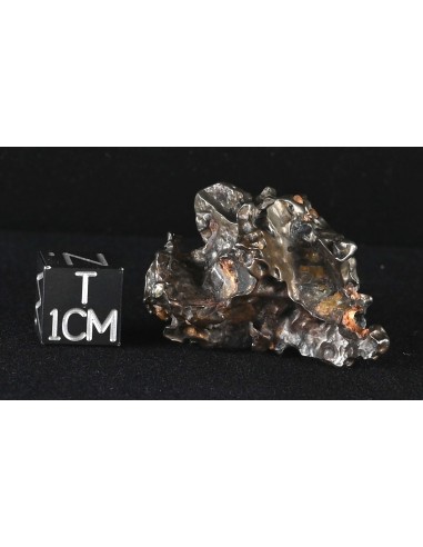 Golden Pallasite 16.67 g – Sculptural Meteorite with Olivine Cavities