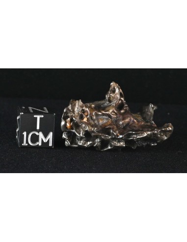 Golden Pallasite 16.67 g – Sculptural Meteorite with Olivine Cavities