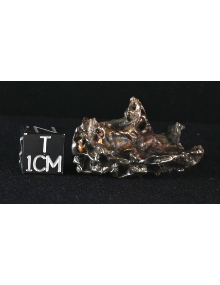 Golden Pallasite 16.67 g – Sculptural Meteorite with Olivine Cavities