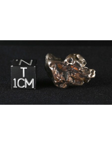 Golden Pallasite 8.75 g – Compact Meteorite with Iron Matrix & Olivine