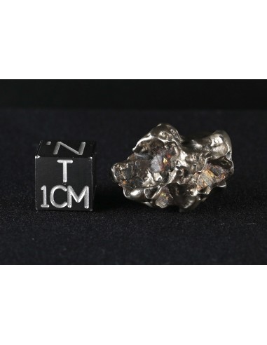 Golden Pallasite 8.75 g – Compact Meteorite with Iron Matrix & Olivine