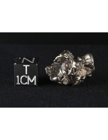 Golden Pallasite 8.75 g – Compact Meteorite with Iron Matrix & Olivine