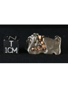 Golden Pallasite 9.36 g – Tubular Meteorite with Trapped Desert Grains