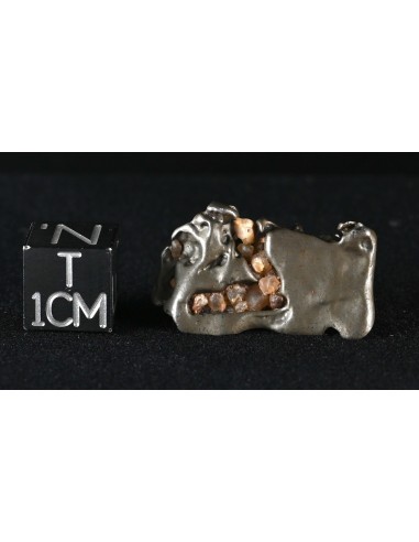 Golden Pallasite 9.36 g – Tubular Meteorite with Trapped Desert Grains