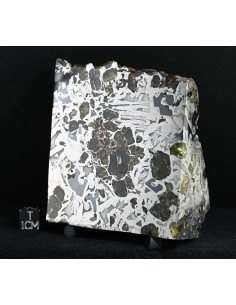 Seymchan Pallasite Block 855 g | Cut Faces and Natural Exterior
