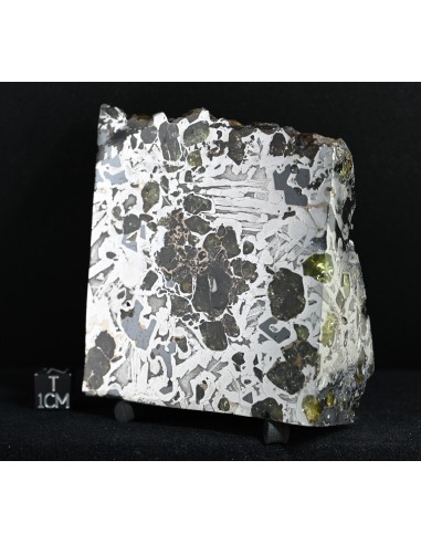 Seymchan Pallasite Block 855 g | Cut Faces and Natural Exterior