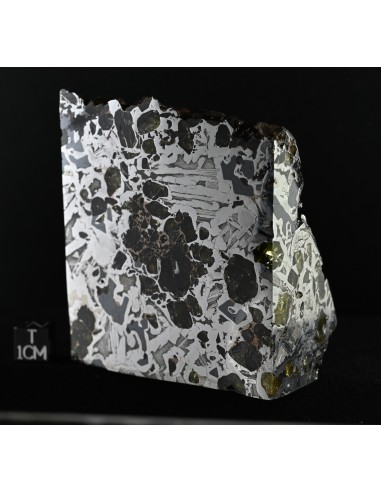 Seymchan Pallasite Block 855 g | Cut Faces and Natural Exterior