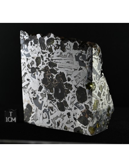 Seymchan Pallasite Block 855 g | Cut Faces and Natural Exterior