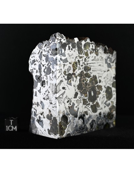 Seymchan Pallasite Block 855 g | Cut Faces and Natural Exterior