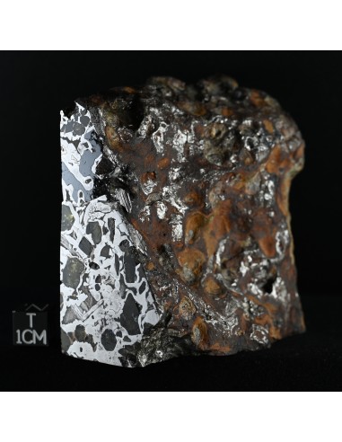 Seymchan Pallasite Block 855 g | Cut Faces and Natural Exterior