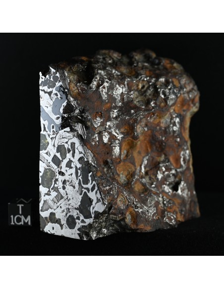 Seymchan Pallasite Block 855 g | Cut Faces and Natural Exterior