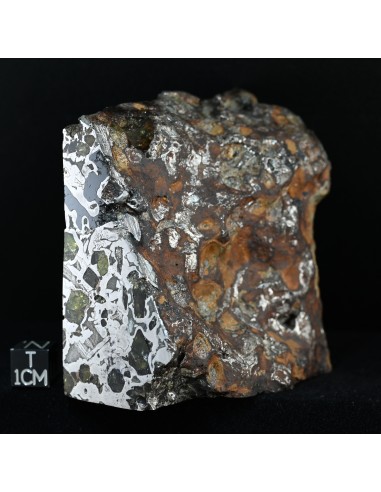 Seymchan Pallasite Block 855 g | Cut Faces and Natural Exterior