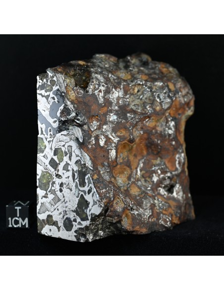 Seymchan Pallasite Block 855 g | Cut Faces and Natural Exterior