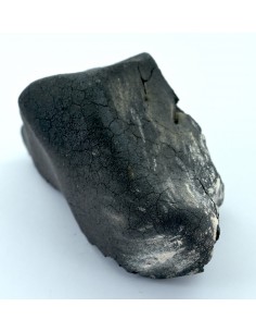 Tarda Main Mass 149.50 g | Oriented C2-ungrouped Carbonaceous Chondrit 2