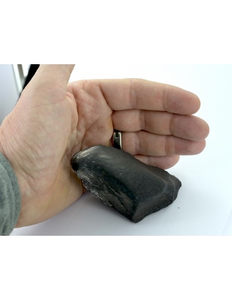 Tarda Main Mass 149.50 g | Oriented C2-ungrouped Carbonaceous Chondrit