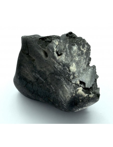 Tarda Main Mass 149.50 g | Oriented C2-ungrouped Carbonaceous Chondrit