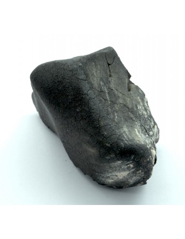 Tarda Main Mass 149.50 g | Oriented C2-ungrouped Carbonaceous Chondrit