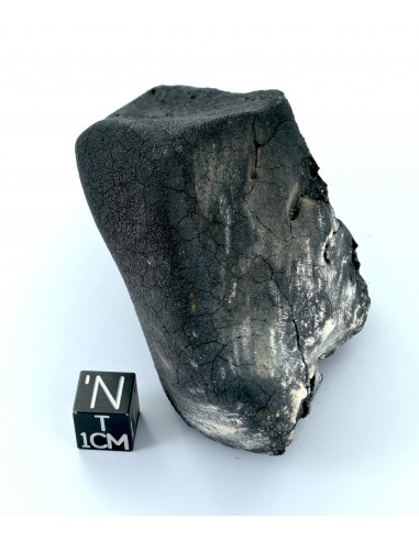 Tarda Main Mass 149.50 g | Oriented C2-ungrouped Carbonaceous Chondrit