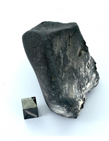 Tarda Main Mass 149.50 g | Oriented C2-ungrouped Carbonaceous Chondrit