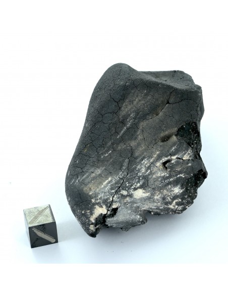 Tarda Main Mass 149.50 g | Oriented C2-ungrouped Carbonaceous Chondrit