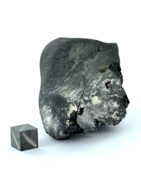 Tarda Main Mass 149.50 g | Oriented C2-ungrouped Carbonaceous Chondrit