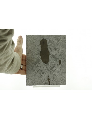 Cape York Meteorite Slice 1110 g | Widmanstätten Pattern and Troilites