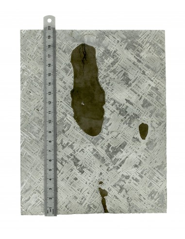 Cape York Meteorite Slice 1110 g | Widmanstätten Pattern and Troilites