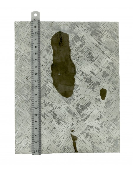 Cape York Meteorite Slice 1110 g | Widmanstätten Pattern and Troilites
