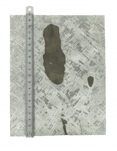 Cape York Meteorite Slice 1110 g | Widmanstätten Pattern and Troilites
