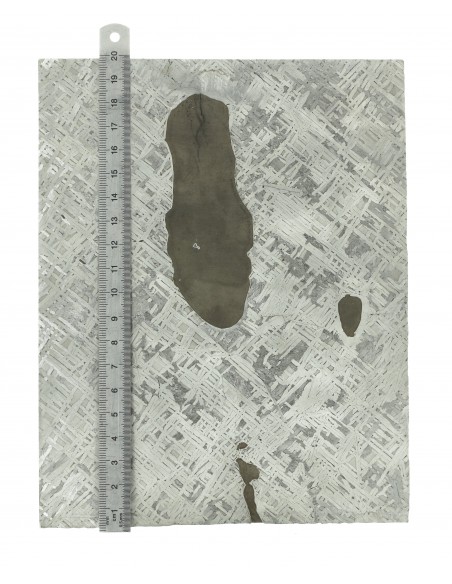 Cape York Meteorite Slice 1110 g | Widmanstätten Pattern and Troilites