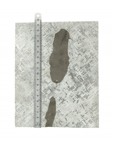 Cape York Meteorite Slice 1110 g | Widmanstätten Pattern and Troilites