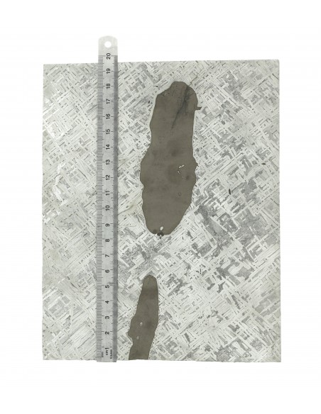 Cape York Meteorite Slice 1110 g | Widmanstätten Pattern and Troilites