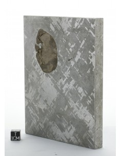 Cape York Meteorite Block 1277 g | Self-Standing Iron Meteorite