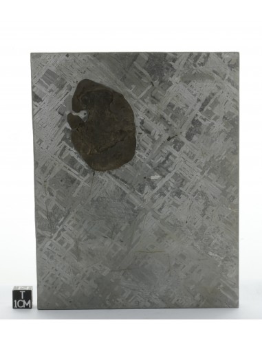 Cape York Meteorite Block 1277 g | Self-Standing Iron Meteorite
