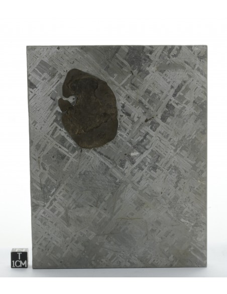 Cape York Meteorite Block 1277 g | Self-Standing Iron Meteorite