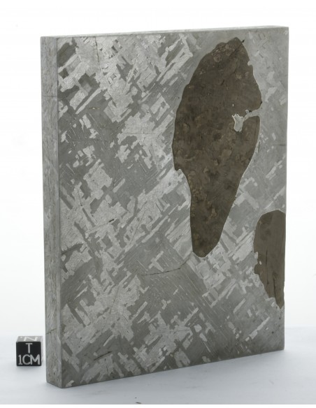 Cape York Meteorite Block 1277 g | Self-Standing Iron Meteorite