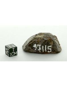 Sahara 97115 EH3 Enstatite Chondrite Endcut 52.90 g