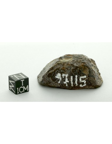 Sahara 97115 EH3 Enstatite Chondrite Endcut 52.90 g